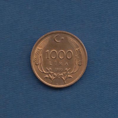 1000 Lira 1995 - Turkey